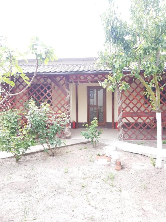 Casa Carter Hotel Sfantu Gheorghe  Luaran gambar